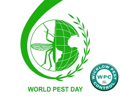 Join Wicklow Pest Control this World Day