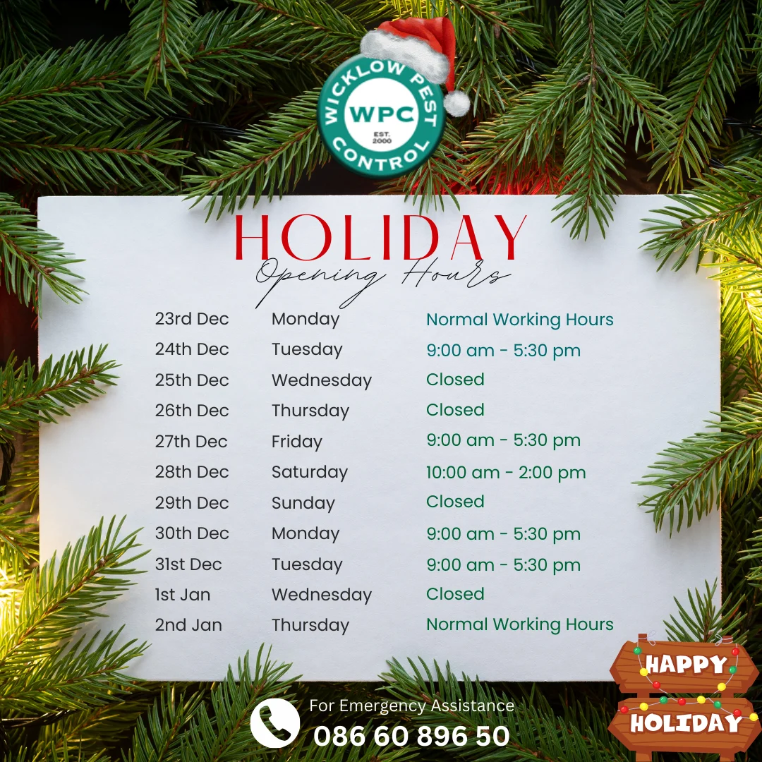 Wicklow Pest Control Opening Hours