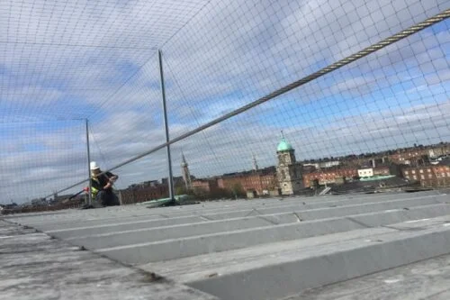 netting 500x333 1