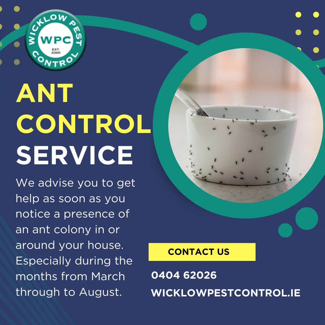 Ants WPC