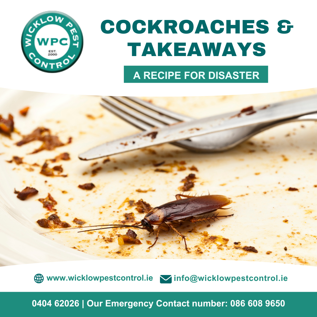 Cockroaches & Takeaways: A Recipe for Disaster