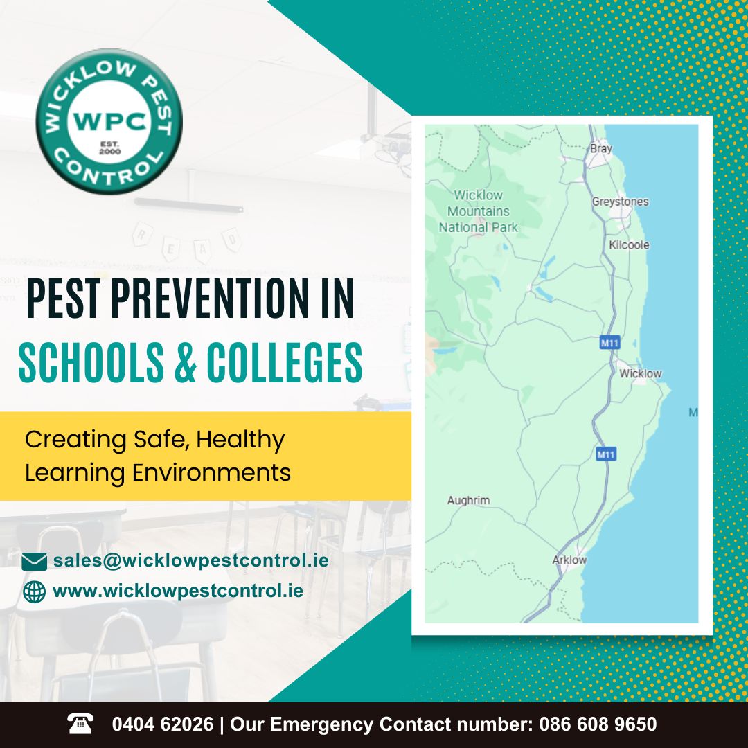 College & Schools Pest Control in Wicklow – Creating Safe, Healthy Learning Environments