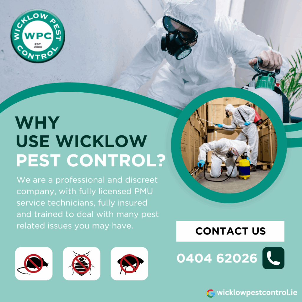 ✅ Local Expertise – We understand the unique pest challenges in Wicklow and tailor our services to meet the needs of homeowners and businesses in the area.
