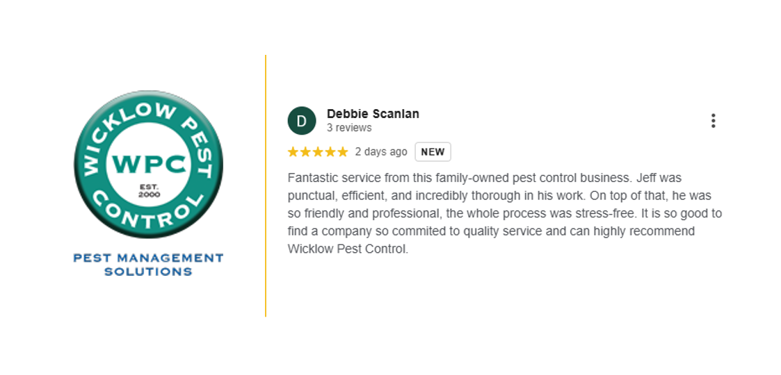 5-Star Customer Review for Wicklow Pest Control | Local Pest Experts