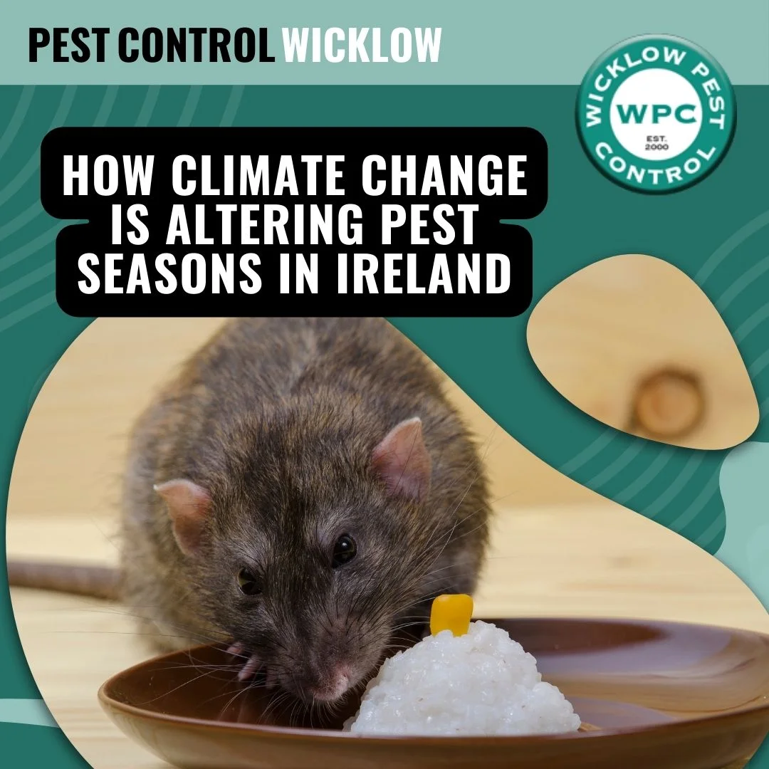 WPC How Climate Change Is Altering Pest Seasons in Ireland