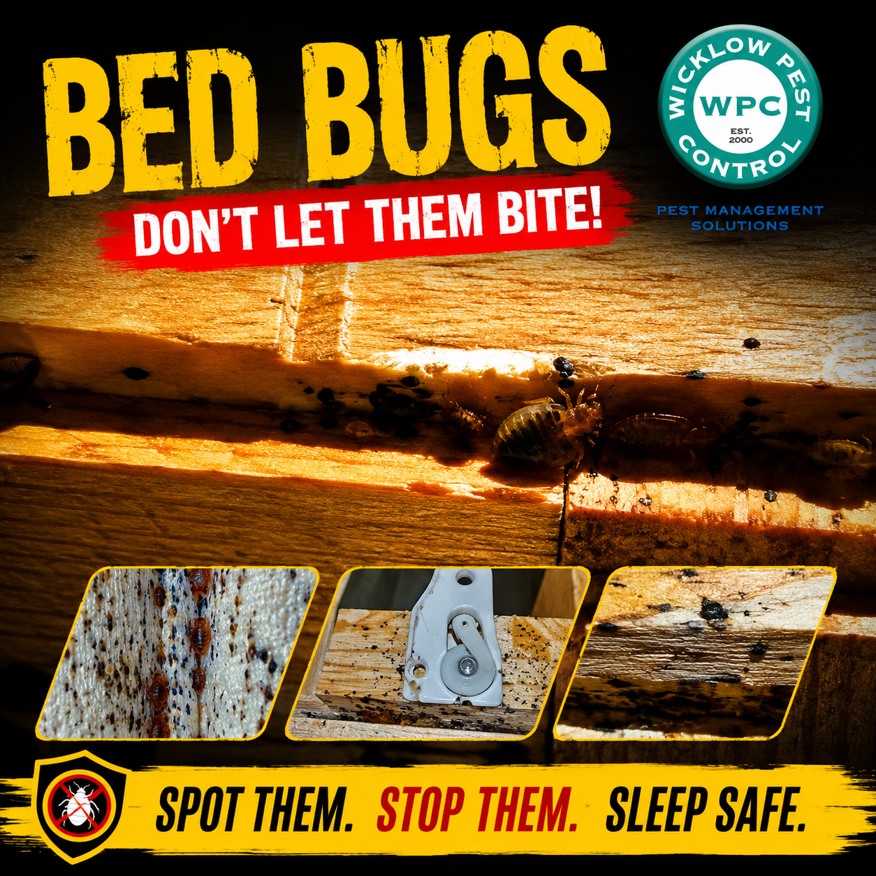 Bed bug treatment Wicklow
