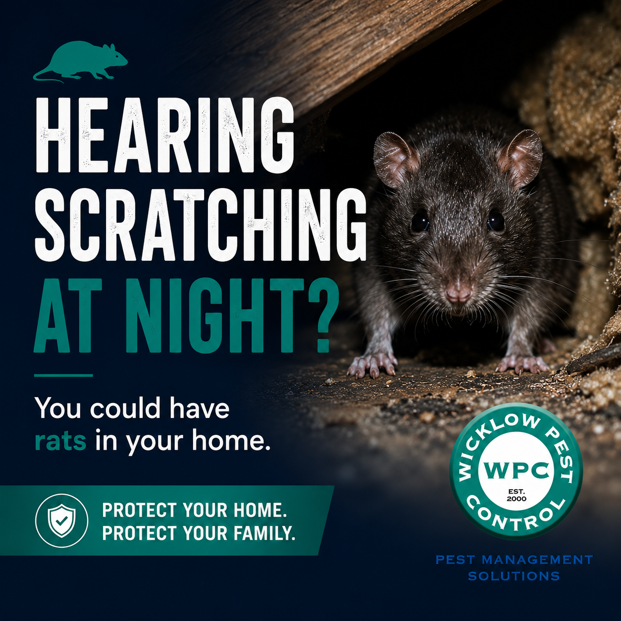 Rat Control Wicklow