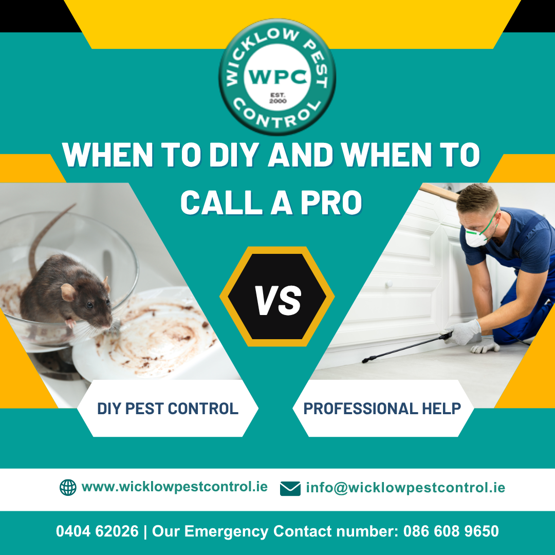 When to DIY and When to Call a Pro: A Pest Control Decision Guide